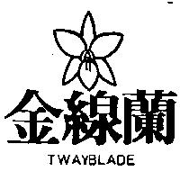 金線蘭及圖 TWAYBLADE