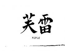 雷芙 RIFLE