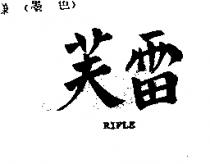 雷芙 RIFLE
