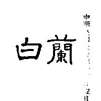 白蘭