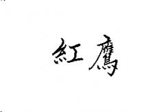 紅鷹