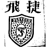 飛捷及圖 FLYTECH