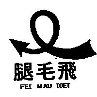 飛毛腿 FEI MAU TOET 及圖