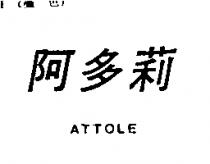 阿多莉 ATTOLE