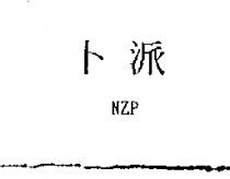 卜派 NZP