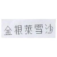 金根萊雪沙