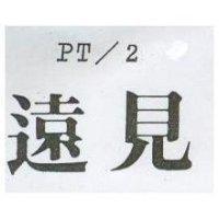 遠見 PT/2