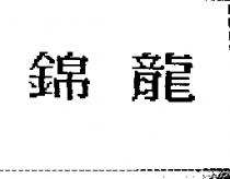 錦龍