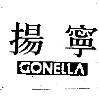 揚寧 GONELLA