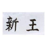 新王