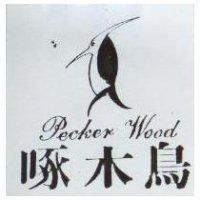 啄木鳥及圖 Pecker Wood