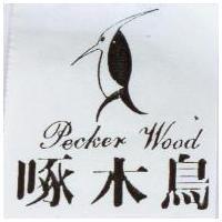 啄木鳥及圖 Pecker Wood