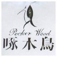 啄木鳥及圖 Pecker Wood