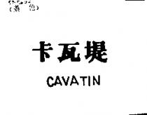 卡瓦堤 CAVATIN