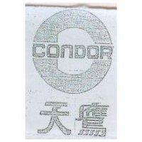 天鷹及圖 CONDOR