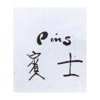 賓士 Pins