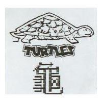 龜及圖 TURTLES