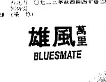 雄風萬里 BLUESMATE