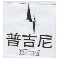 普吉尼及圖 PUCCINI