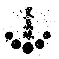 黑真珠