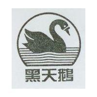黑天鵝及圖