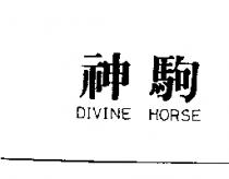神駒 DIVINE HORSE