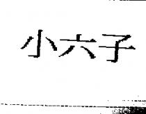小六子