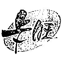 卡旺