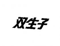 双生子