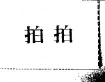 拍拍