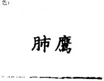 肺鷹