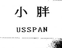 小胖 USSPAN