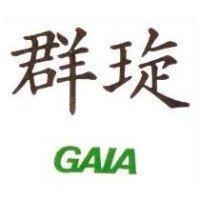 群琁