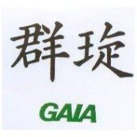 群琁 GAIA