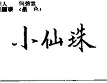 小仙珠