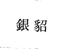 銀貂