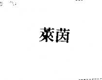 萊茵