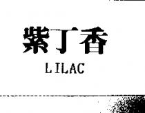 紫丁香 LILAC