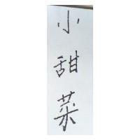小甜菜