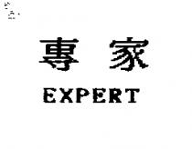 專家 EXPERT