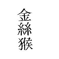 金絲猴