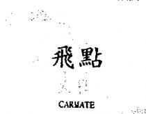 飛點 CARMATE