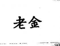 老金