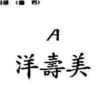 洋壽美 A