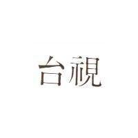 台視