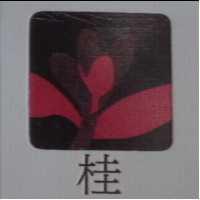 桂及圖 SOSMANTHUS