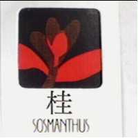 桂及圖 SOSMANTHUS