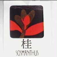 桂及圖 SOSMANTHUS