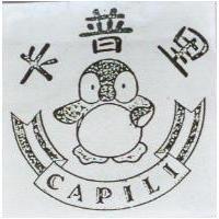 卡普里及圖 CAPILI