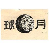 月球及圖
